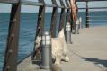 DSC_0040-5.jpg