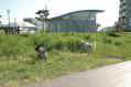 DSC_0043-6.jpg