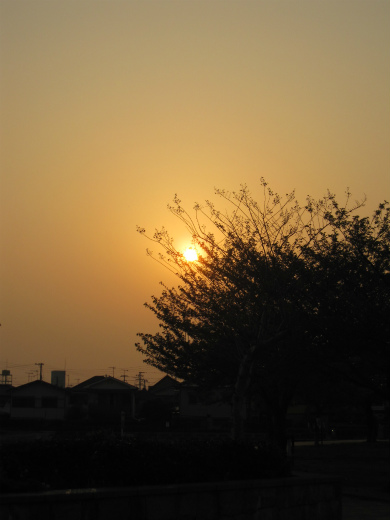 IMG_9449.jpg