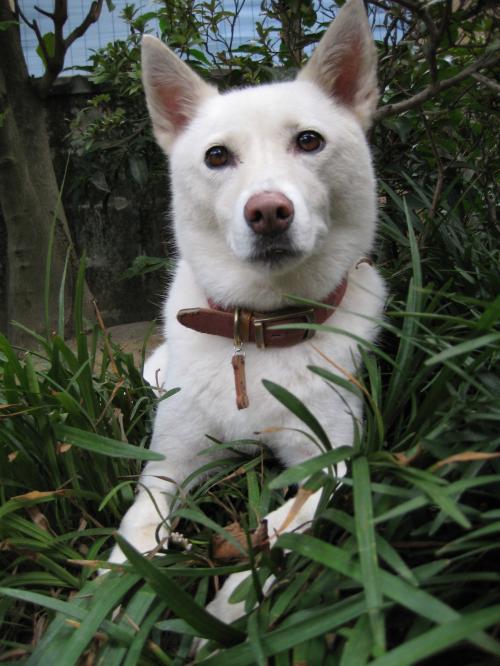 tiko_convert_20120928123537.jpg