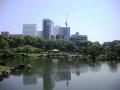 芝離宮恩賜公園2