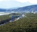 湘南海岸マツ林