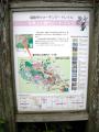花見山公園4