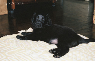 02052003.jpg