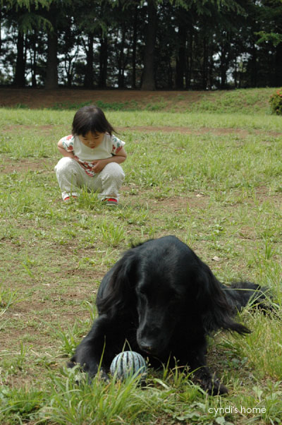 08051801.jpg