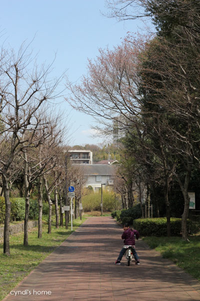 12040605.jpg