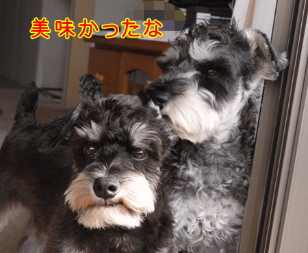 140126-6.gif