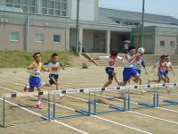 DSC09861_convert_20130517084531.jpg