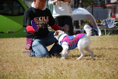 DSC_0858.jpg