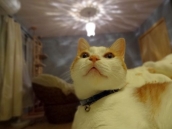 20141003-103.jpg