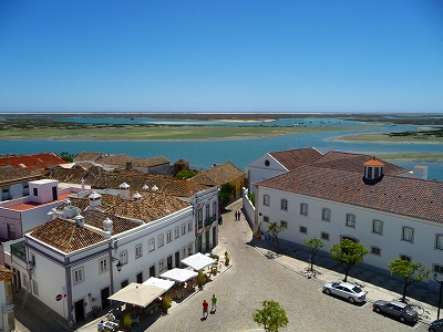 P1290851.jpg
