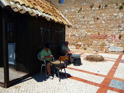 P1290877.jpg