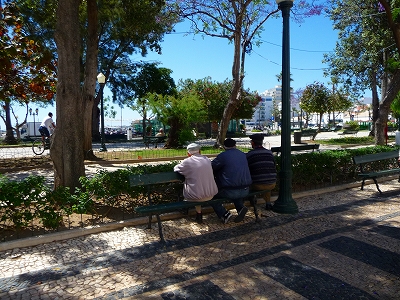 P1290894.jpg
