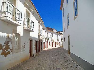 P1300100.jpg