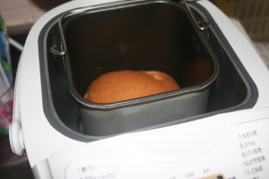pann0001.jpg