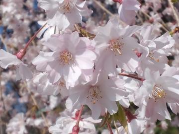 20120419.jpg