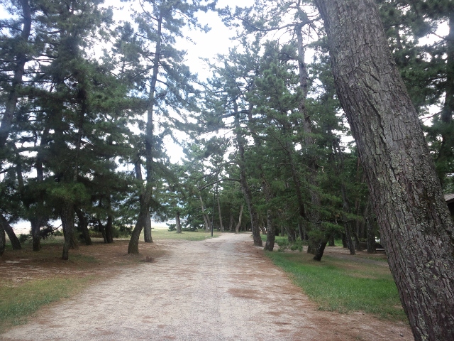 20120828-2.jpg