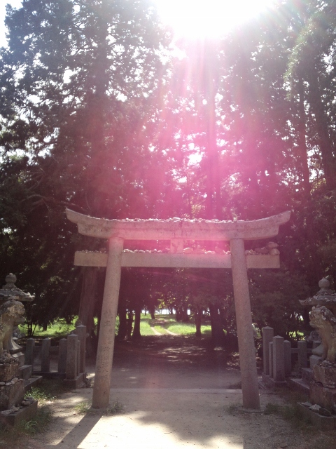 20120828-3.jpg