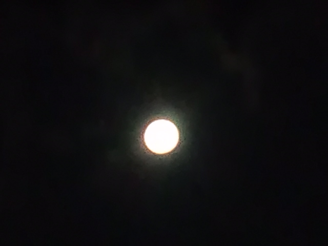 CA3H1344.jpg