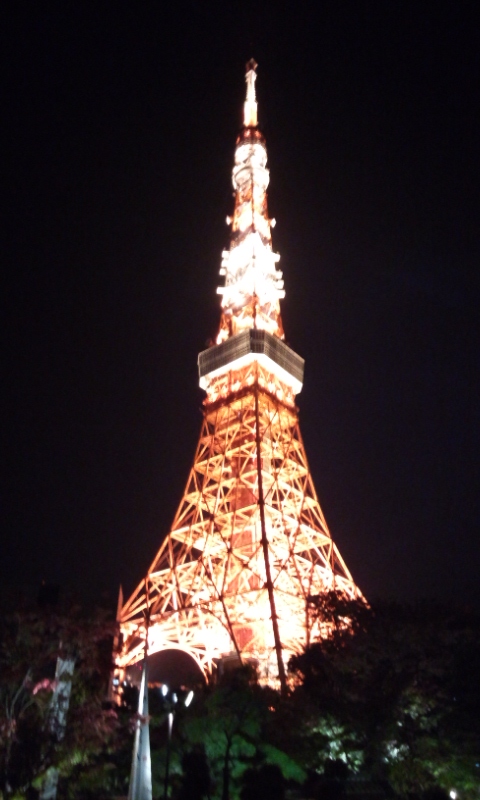 IMG_20121120_002817.jpg