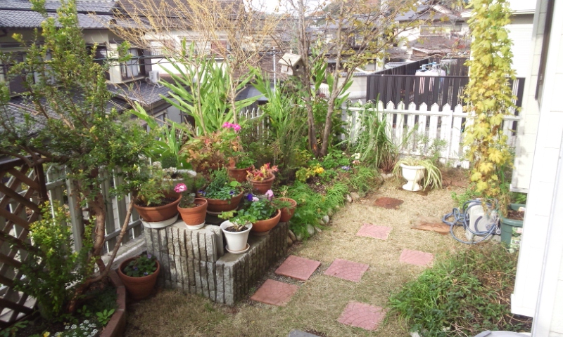 IMG_20121122_125550.jpg