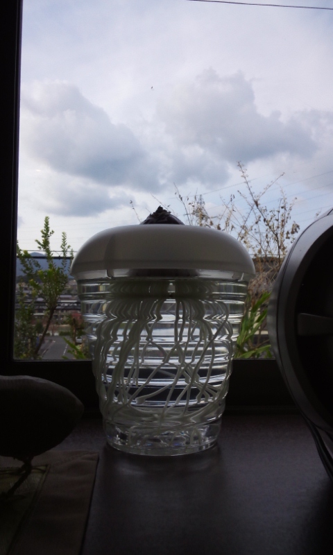 IMG_20121122_132148.jpg