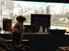 13010601.jpeg