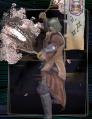 2012_05_ビッグザ武道(PS3)