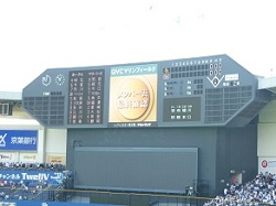 P1020104z.jpg