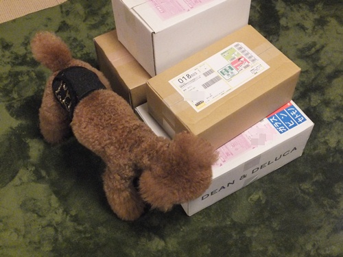 DSCF1057.jpg