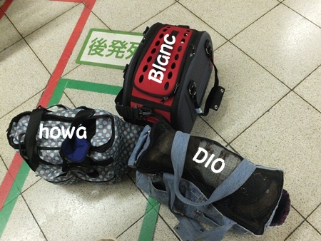 DSCF8540.jpg