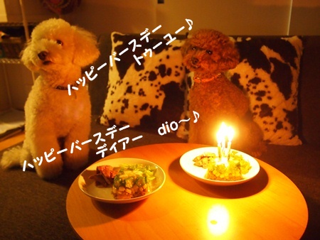 PA130880.jpg
