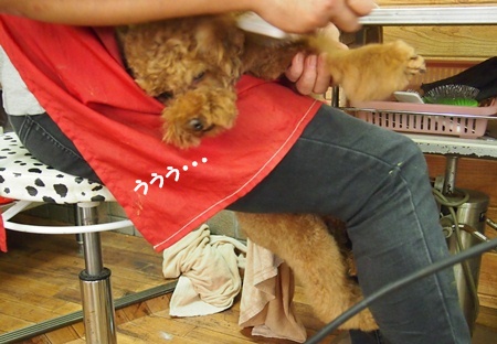 PA201240.jpg