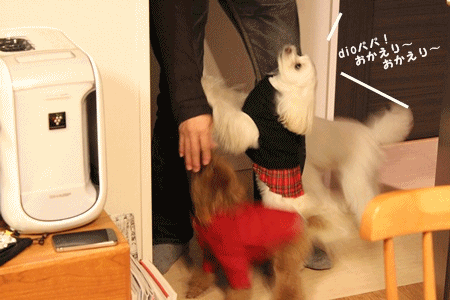 anigif-3_20121226010010.gif