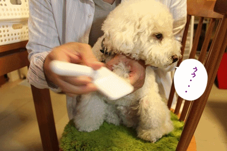 anigif_20120529003723.gif
