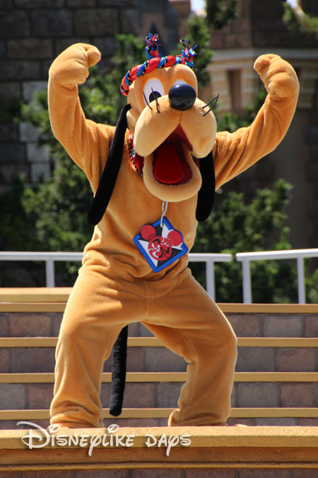 IMG_8037.jpg