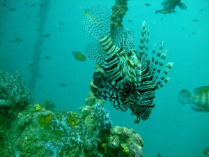 DSCF0198.jpg