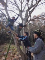 基地 (2) (480x640)