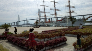 DCF00194_20121015171649.jpg