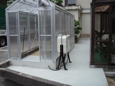 P5290003.jpg