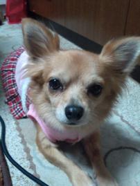 20121118170925-1.jpg