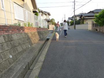 P1030740-1.jpg
