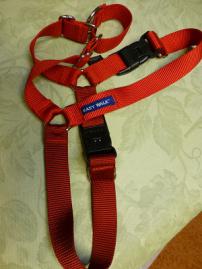 P1040024-1.jpg
