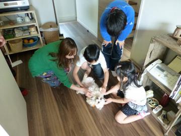 P1040146-1.jpg