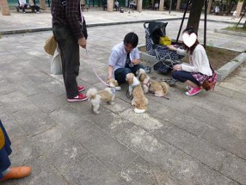 P1040800-1.jpg