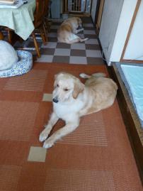 P1050342-1.jpg