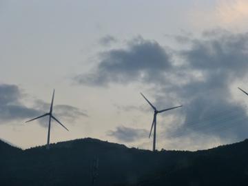 P1050632-1.jpg