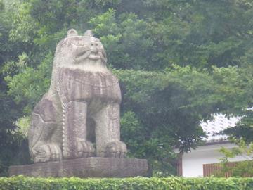 P1060521-1.jpg