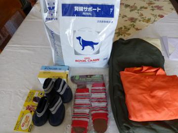 P1070836-1.jpg