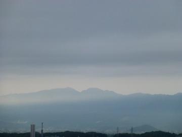 P1090601-1.jpg
